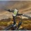 Go to the RAM Mount Garmin Oregon Bike Mount RAP-274-1-GA31U webpage