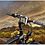Go to the RAM Mount Garmin nuvi 500 Bike Mount RAP-274-1-GA32U webpage