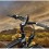 RAM Mount Magellan Meridian Bike Mount RAP-274-1-MA2U