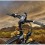 RAM Mount Magellan eXplorist Bike Mount RAP-274-1-MA5U