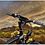 RAM Mount TomTom GO 520 720 920 Ez On-Off Bike Rail Mount