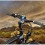 Go to the RAM Mount Long Cell Phone Bike Mount RAP-274-1-UN2U webpage