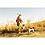 Garmin DC 20 Dog Harness