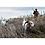 Garmin DC 20 Dog Harness