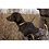 Garmin DC 20 Dog Harness