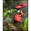 Contour Video Camera Waterproof Case Additional Photo #2