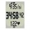 Garmin Lilac Forerunner 60 With HRM for Women Additional Photo #5