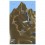 Garmin TOPO US Alaska Enhanced microSD Card Additional Photo #2