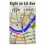 Garmin TOPO US Alaska Enhanced microSD Card Additional Photo #3