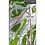 Mountain Dynamics Snow Ranger GPS Ski Mapping N. America Additional Photo #1