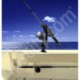 RAM Mount RAM-Rod Revolution Holder with Ball Adaptor and Tallon Flush Mount Receiver