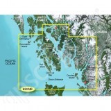 Garmin MicroSD Card BlueChart g2 Vision VUS024R