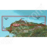 Garmin MicroSD Card BlueChart g2 Vision VUS035R