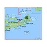 Garmin Card BlueChart CA005R