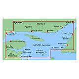 Garmin Card BlueChart CA007R