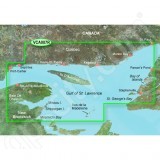Garmin MicroSD Card BlueChart g2 Vision VCA007R