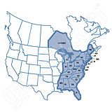 Garmin Fishing Hot Spots East v5 CD