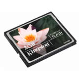 Kingston 2GB CF Data Card