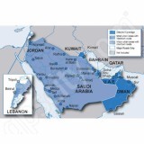 Garmin City Navigator Middle East 2008 NT CD