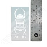Geocaching 3 Inch Clear Travel Bug Decal