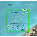 Garmin microSD Card BlueChart g2 HXAF450S
