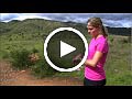 Getting Started Video
