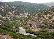 A photo I took during my drive though Malibu Canyon