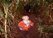 Spooky Corn Maze