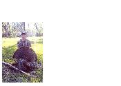 Hunter's First Turkey