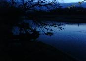 wet and cold
