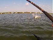 the water may be shallow